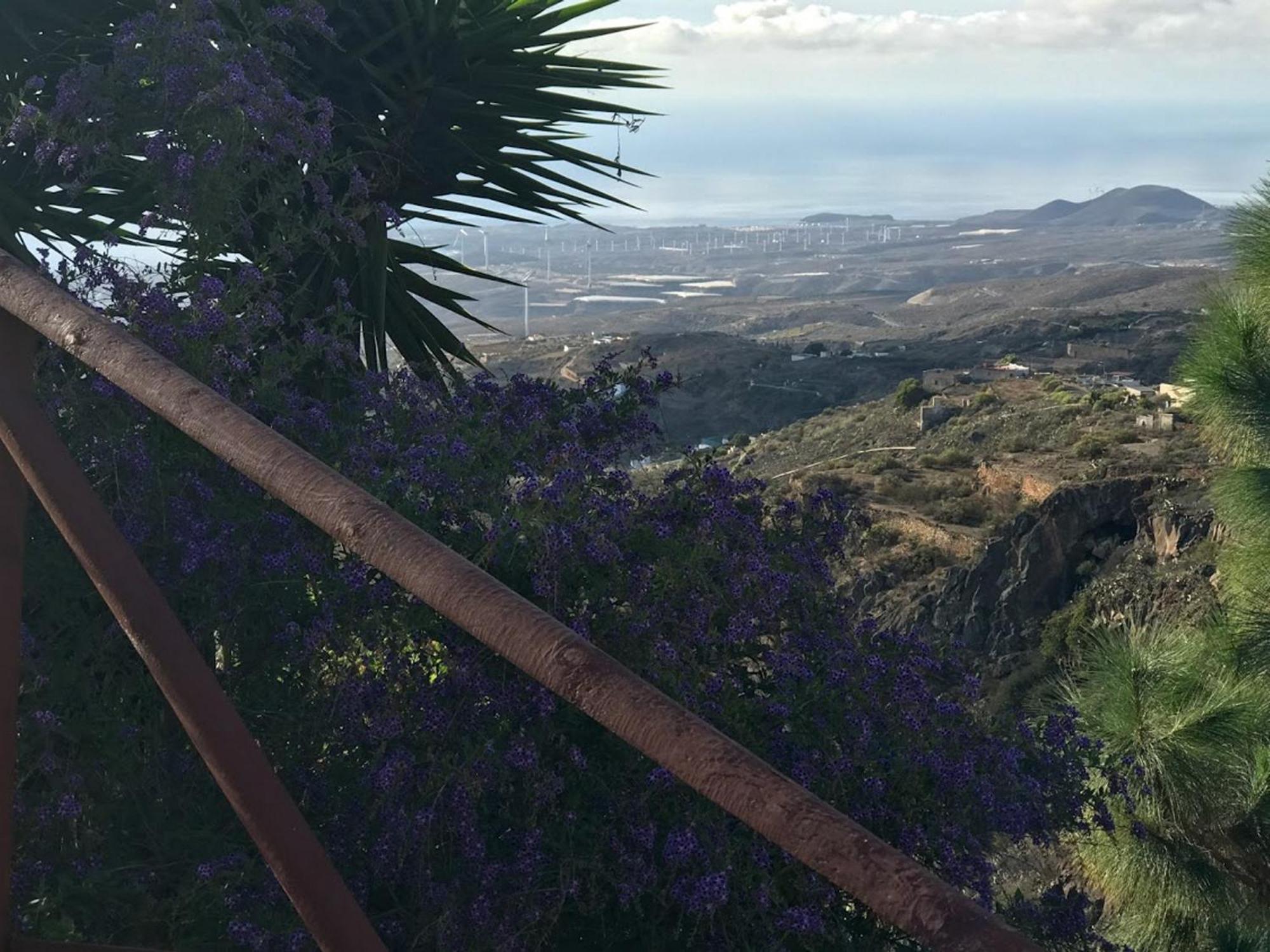 Finca Las Polinarias Casa Cueva En Fasnia Santa Cruz de Tenerife Zewnętrze zdjęcie