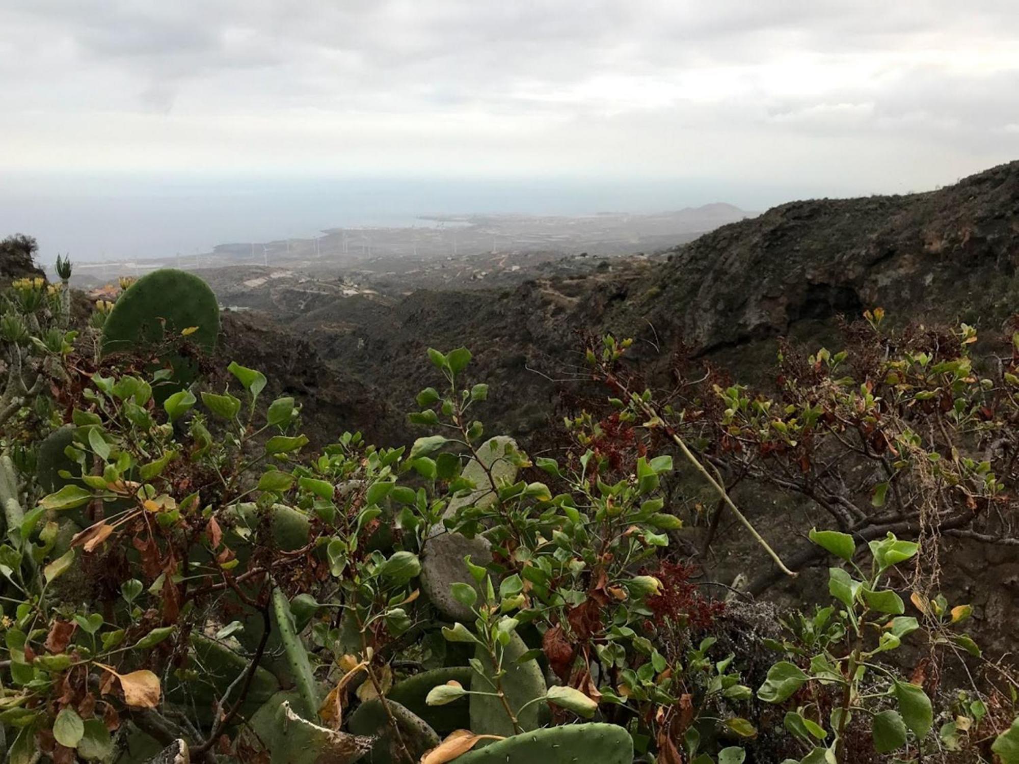 Finca Las Polinarias Casa Cueva En Fasnia Santa Cruz de Tenerife Zewnętrze zdjęcie