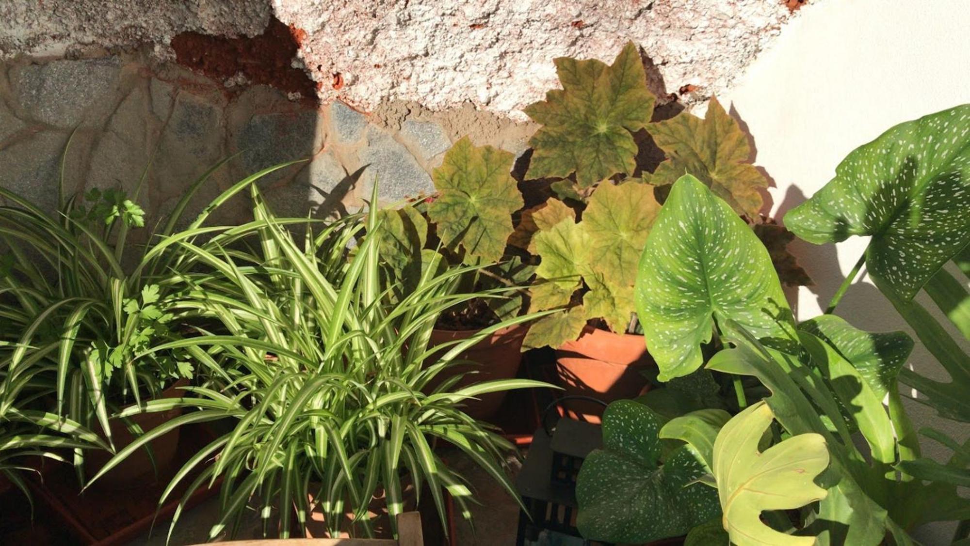 Finca Las Polinarias Casa Cueva En Fasnia Santa Cruz de Tenerife Zewnętrze zdjęcie