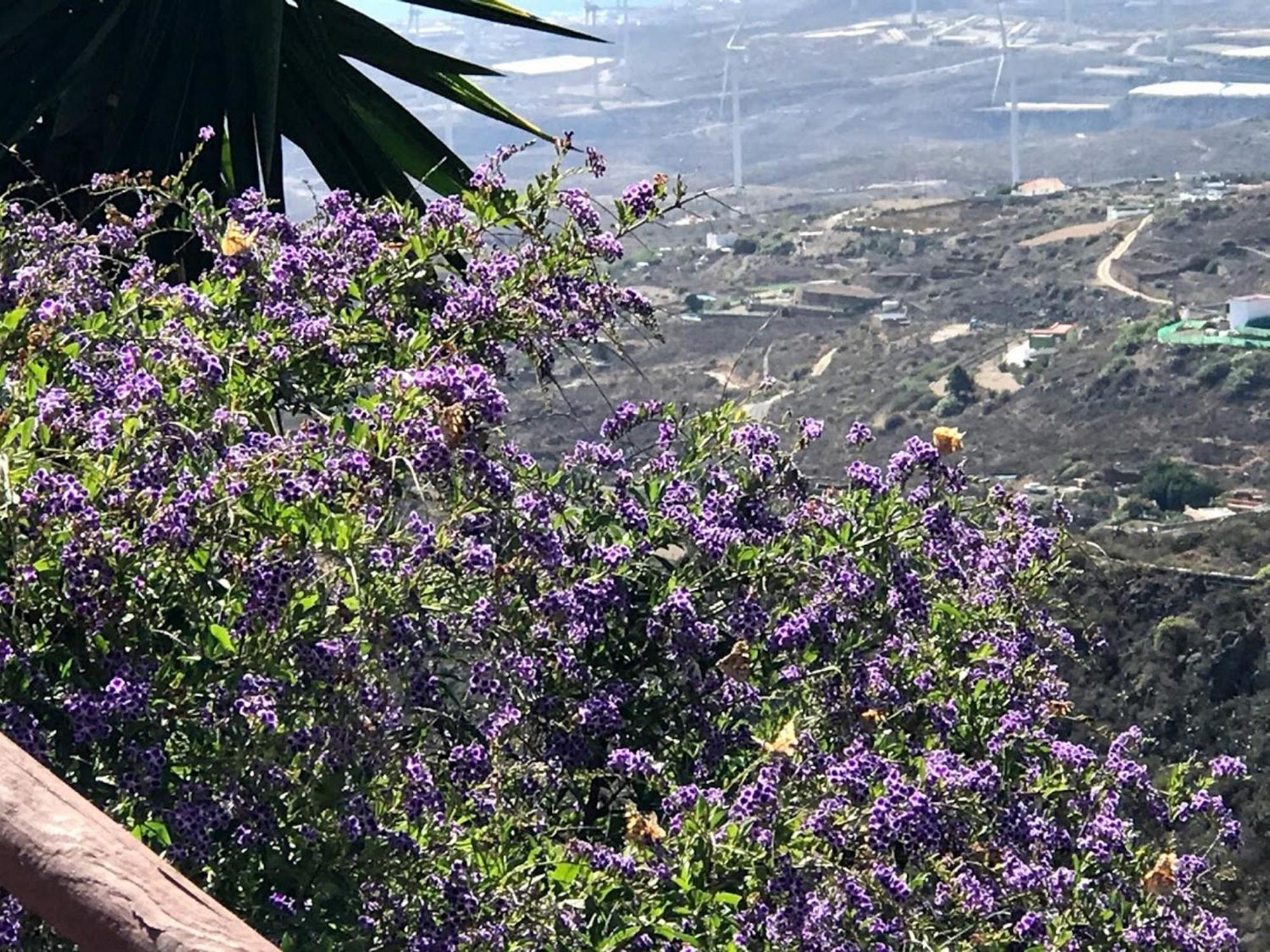 Finca Las Polinarias Casa Cueva En Fasnia Santa Cruz de Tenerife Zewnętrze zdjęcie